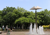 公園の写真